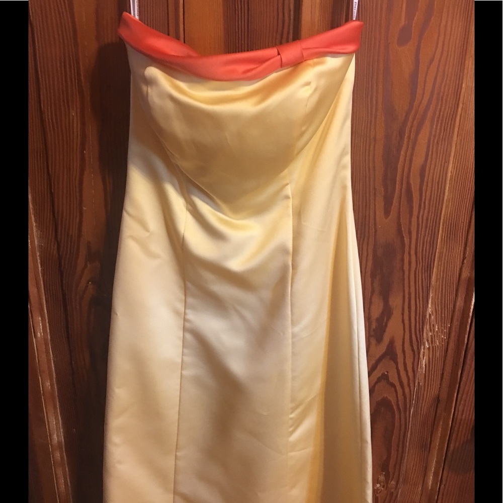 David’s Bridal formal dress-Closet Clear Out!